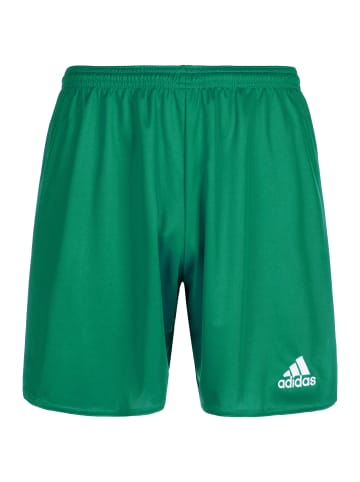 adidas Performance Trainingsshorts Parma 16 in grün / weiß