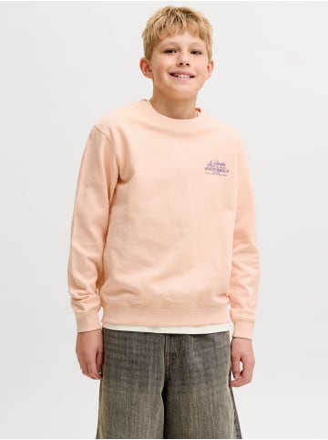 JACK & JONES Junior Sweatshirt in Peach Melba