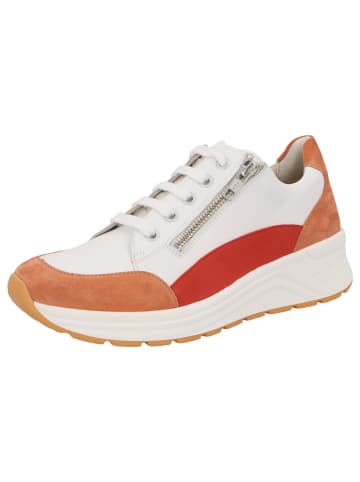 Solidus Sneaker in weiß
