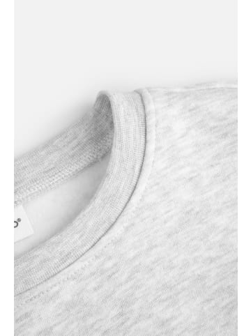 Coccodrillo Sweatshirt in grau