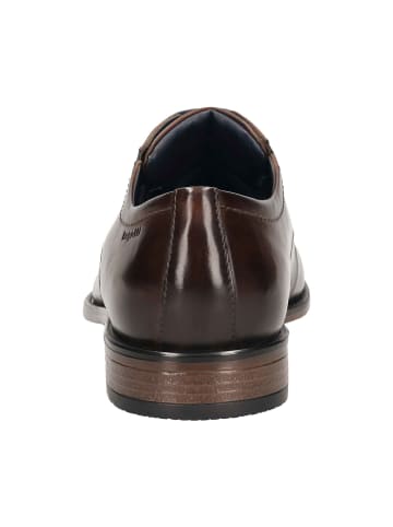 Bugatti Schnürschuh in braun