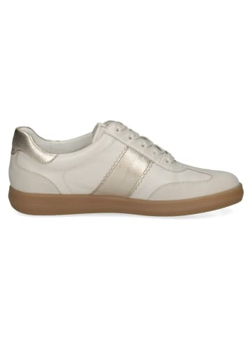 Caprice Sneaker für Herren in uni