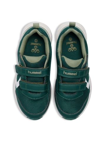 Hummel Klettverschluss Shoe Turbo Run Lebensstil Kinder in JUNE BUG