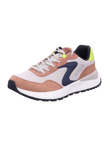 Skechers Sneaker FURY - FURY LACE LOW in Beige