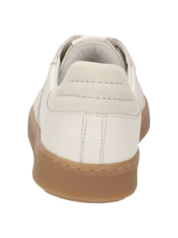 Sioux Sneaker Tedroso-DA-717 in beige