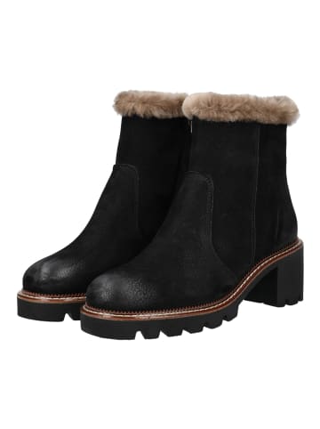 Paul Green Stiefelette in Schwarz