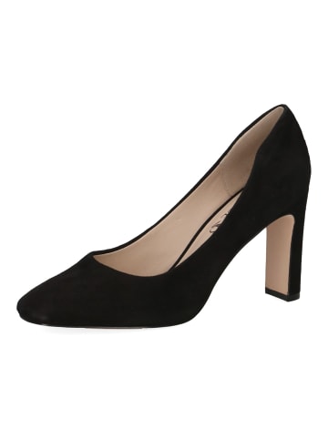 Caprice Pumps in Schwarz