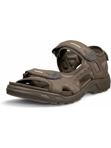 Ecco Outdoorsandalen für Herren in dunkel-braun