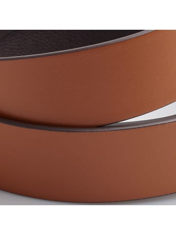 cavalli CLASS Gürtel in Brown