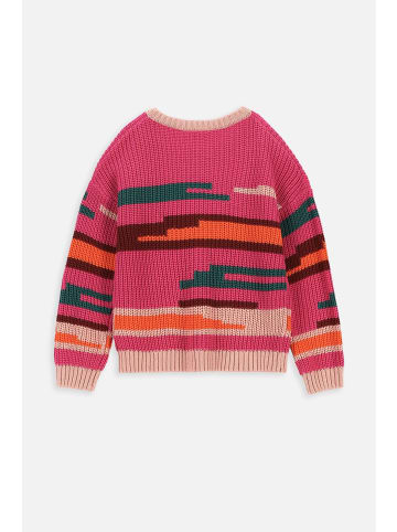 Coccodrillo Strickpullover in bunt