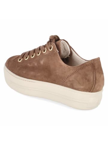 Paul Green Schnürhalbschuh in braun