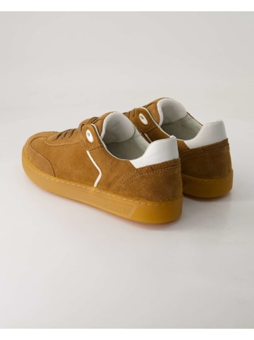 Sioux Sneaker low in Braun