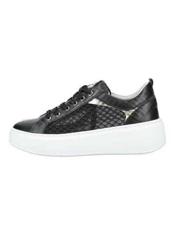 Nero Giardini Sneaker Schwarz