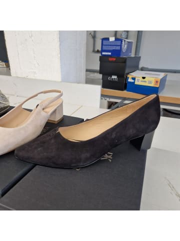 PETER KAISER Pumps in Schwarz