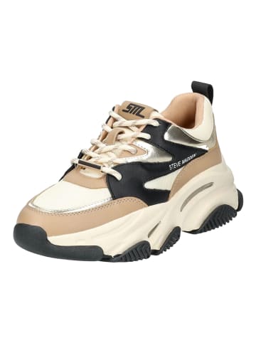 Steve Madden Sneaker in Khaki