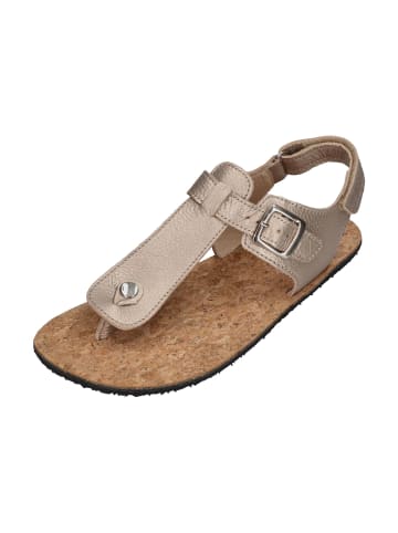 KOEL Sandalen ABRIANA METALLIC  in goldfarben