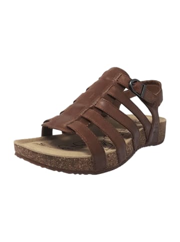 Josef Seibel Komfort Sandalen in Braun