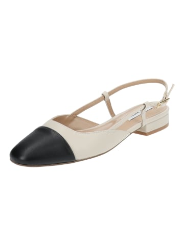 Steve Madden Ballerinas in Bone