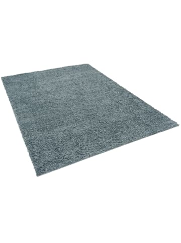 Pergamon Hochflor Langflor Shaggy Teppich Fluffy in Grijs