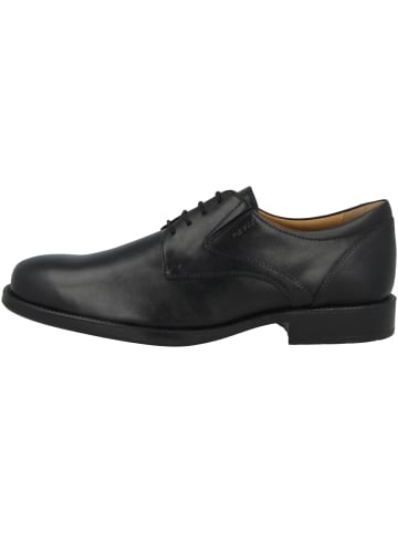 Geox Businessschuhe U Federico V in schwarz