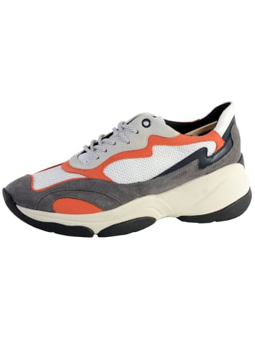 Geox D Kirya B- Sneakers – Wildleder + Mesh Grau