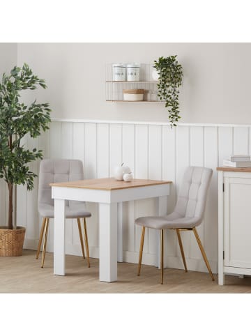 Homestyle4u Esszimmerstuhl 2er Set in Beige und Gold, Samt