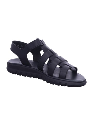 Paul Green Sandaletten in SCHWARZ