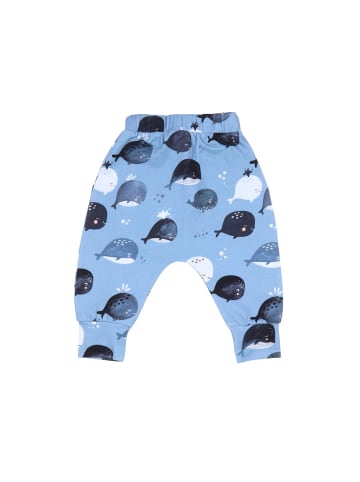 Walkiddy Jogginghose Jogginghose aus Baumwolle (Bio)