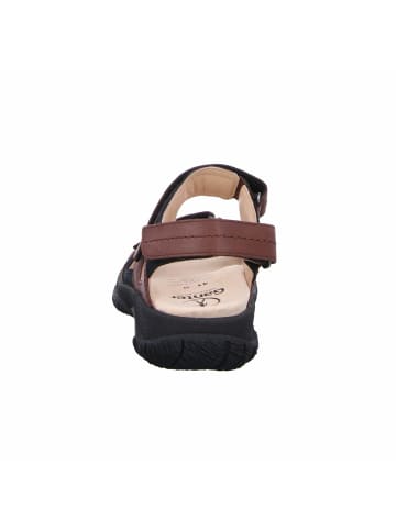 Ganter Komfort Sandalen für Herren in braun