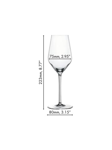 Spiegelau 12er Set Champagnergläser Style 310 ml transparent in transparent