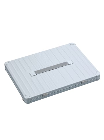 Aleon Laptophülle 42 cm in platinum