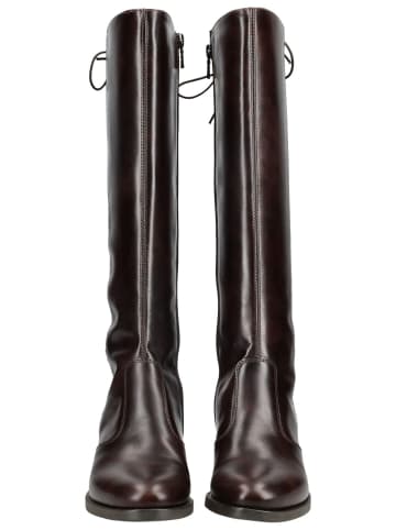 Nero Giardini Stiefel in Dunkelbraun