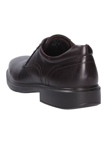 Ecco Schnürschuh in braun