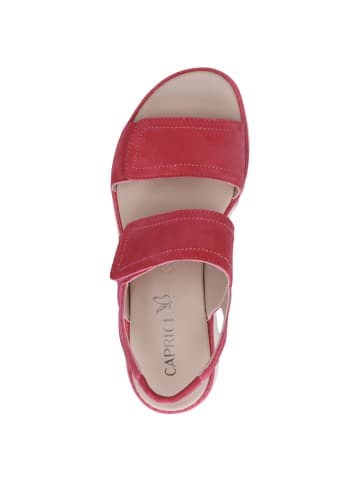Caprice Sandale in PINK SUEDE