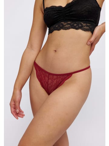 SNOCKS G-String aus Spitze 3 Stück in Dunkelrot
