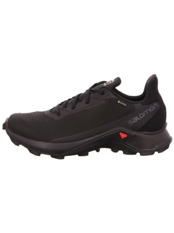 SALOMON Trekkingschuhe für Herren in schwarz