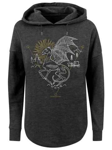 F4NT4STIC Hoodie in charcoal