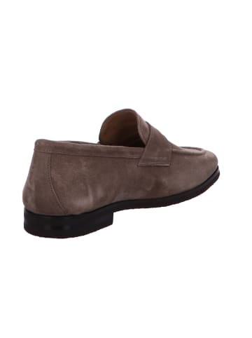 Floris van Bommel Slipper in taupe