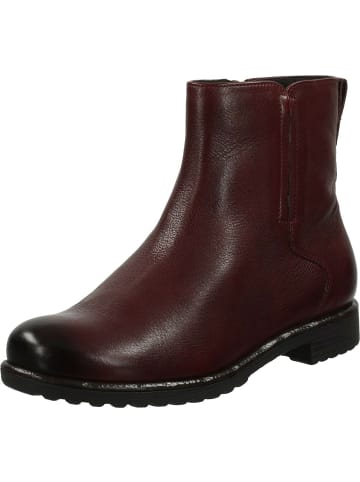 ara Stiefeletten für Damen in uni