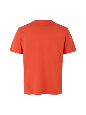 IDENTITY T-Shirt klassisch in Coral