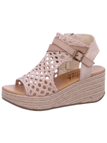 Blowfish Sandale  in Gold