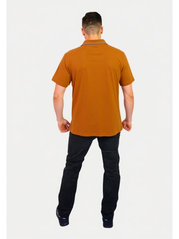 Tom Tailor Poloshirt in braun