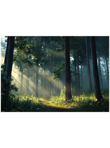 WALLARENA Fototapete Wald in Grün