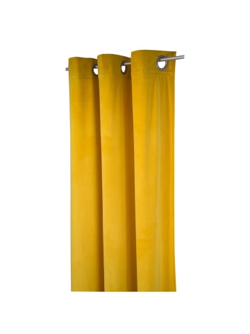 Tom Tailor Blickdichter Ösenvorhang French Velvet in Gelb