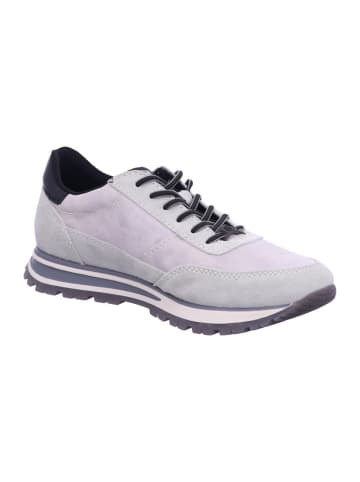 Bugatti Schnürschuhe in Grau