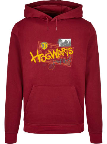 Absolute Cult Absolute Cult Kapuzenpullover in burgundy