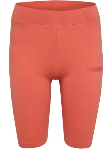 Hummel Shorts Hmllegacy Woman Tight Shorts in APRICOT BRANDY