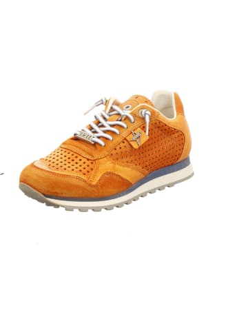 Cetti Sneaker in orange