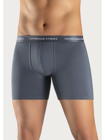 Copenhagen Studios Langer Boxer in salbei / dunkelsalbei / grau-meliert