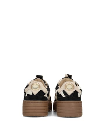 POELMAN Poelman ANEMONE Damen Sneaker
